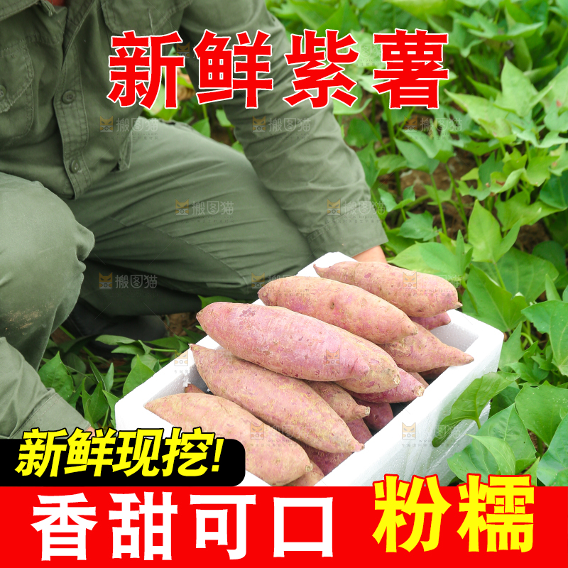 农民手里拿着一箱紫薯