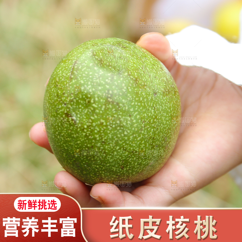 手里拿着青核桃