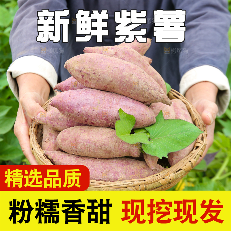 农民手里拿着一篮紫薯