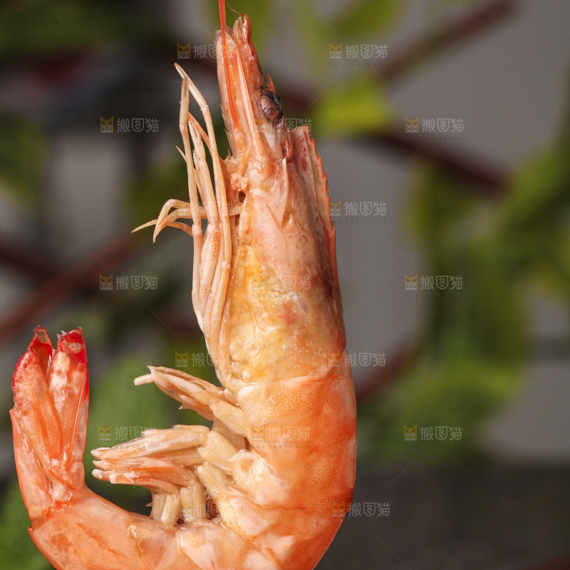 手拿着白灼大虾