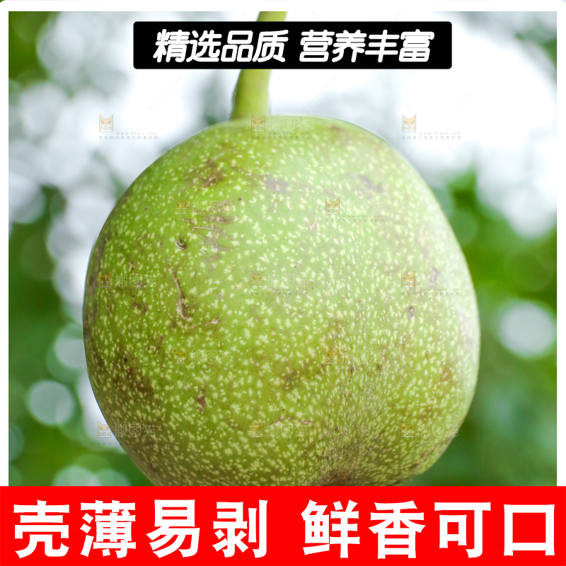 手里拿着青核桃