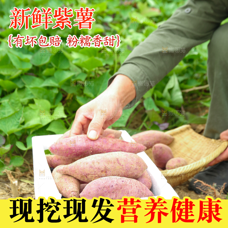 地里放着一箱紫薯