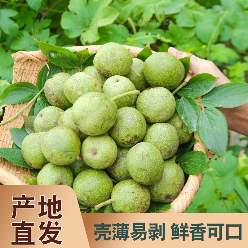 手里拿着一篮青皮核桃