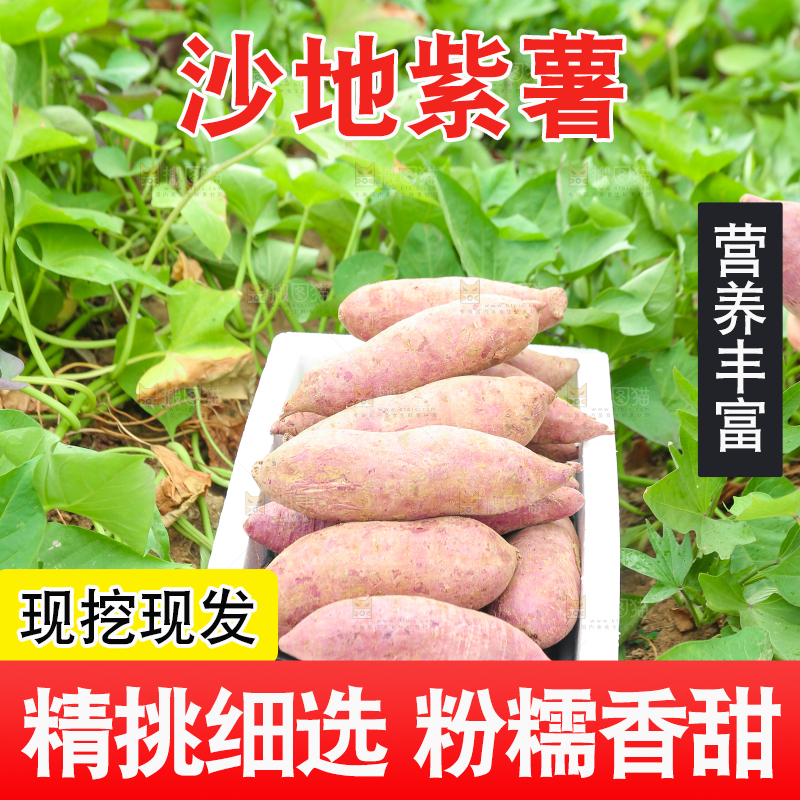 地里放着一箱紫薯