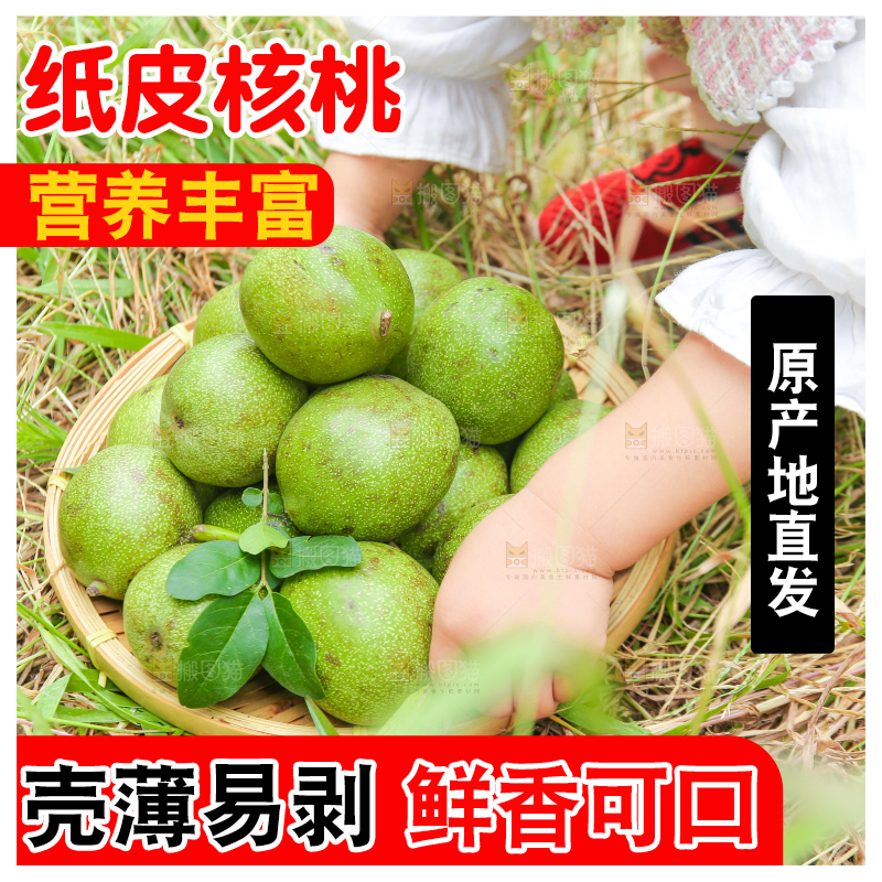 小孩手里拿着一篮青核桃