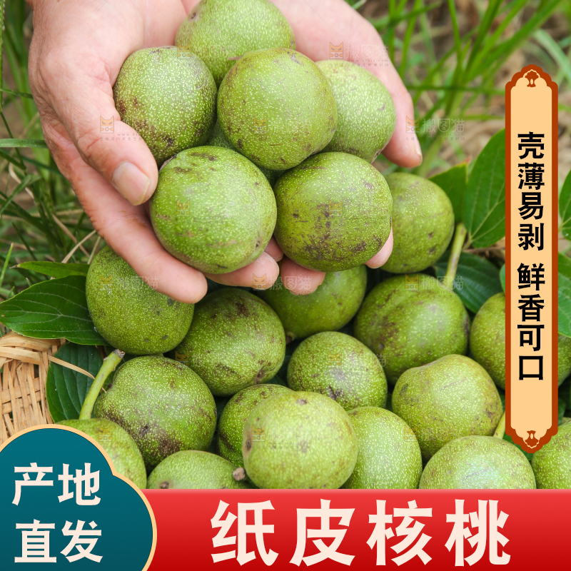 手里捧着青皮核桃