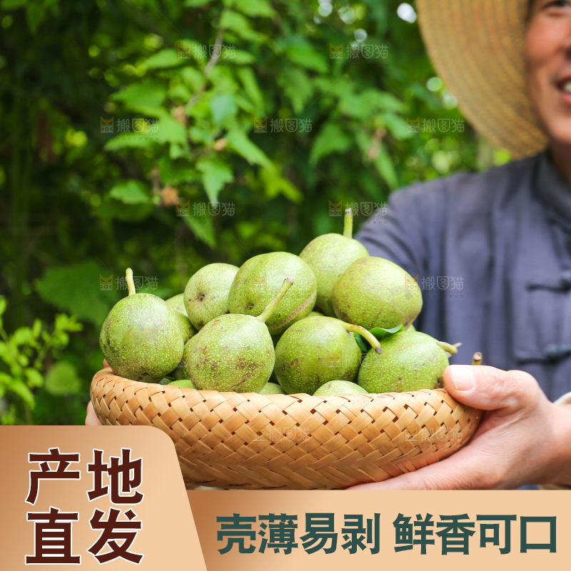 农民手里拿着一篮核桃
