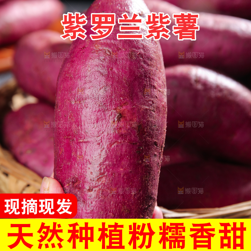 手里拿着新鲜紫薯