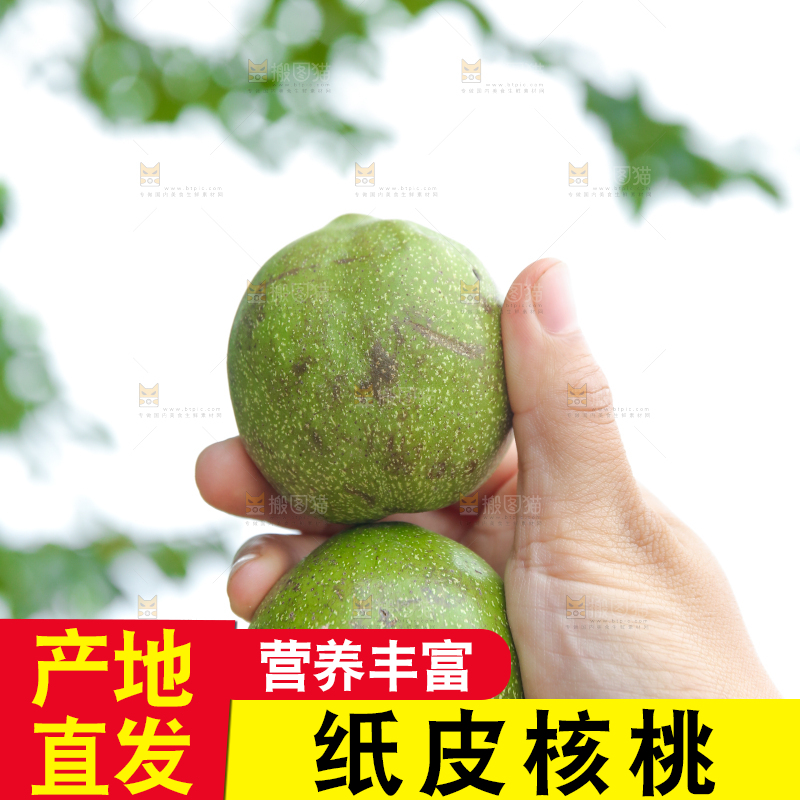 手里拿着青核桃