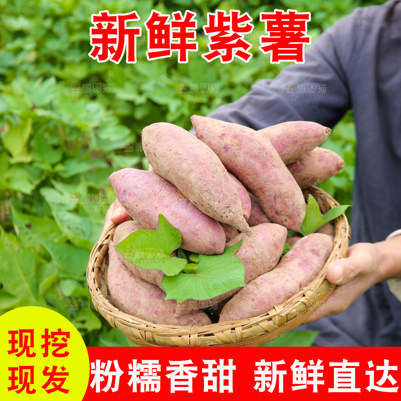 农民手里拿着一篮紫薯