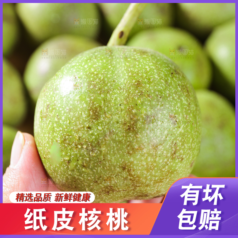 手里拿着新鲜核桃