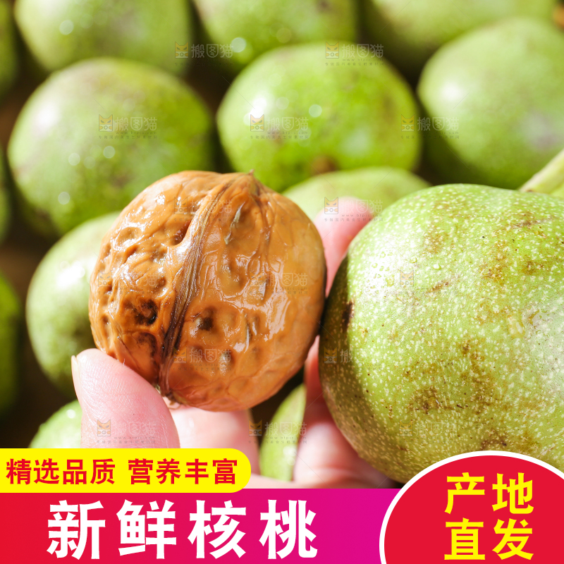 手里拿着新鲜核桃