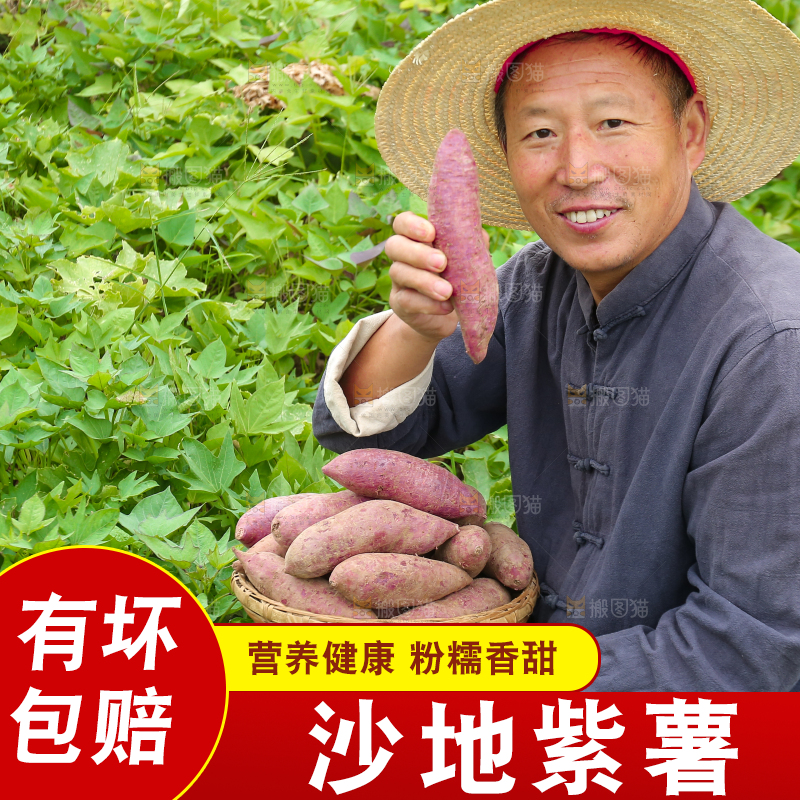 农民手里拿着一篮紫薯