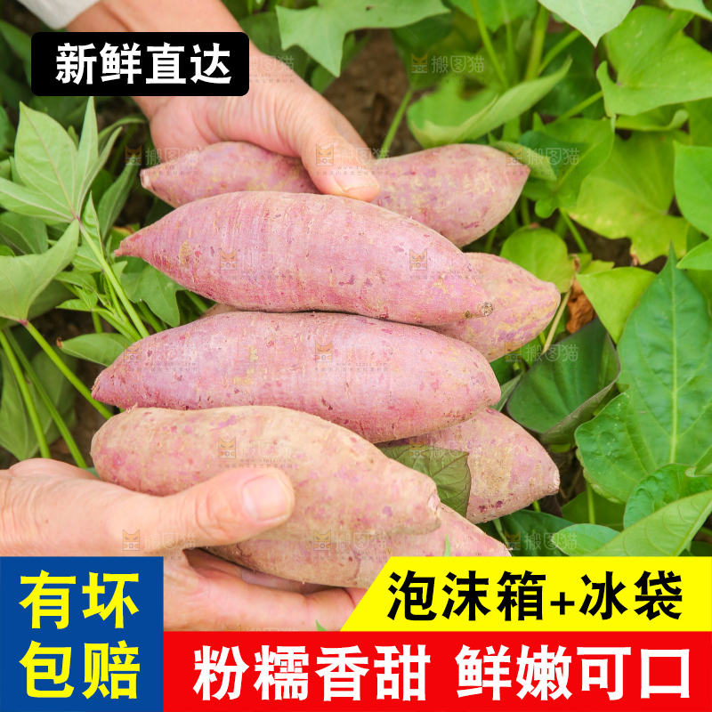 手里拿着新鲜紫薯