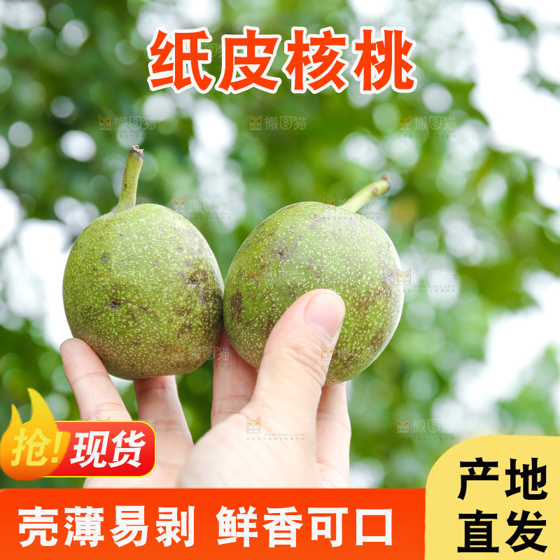 手里拿着青核桃