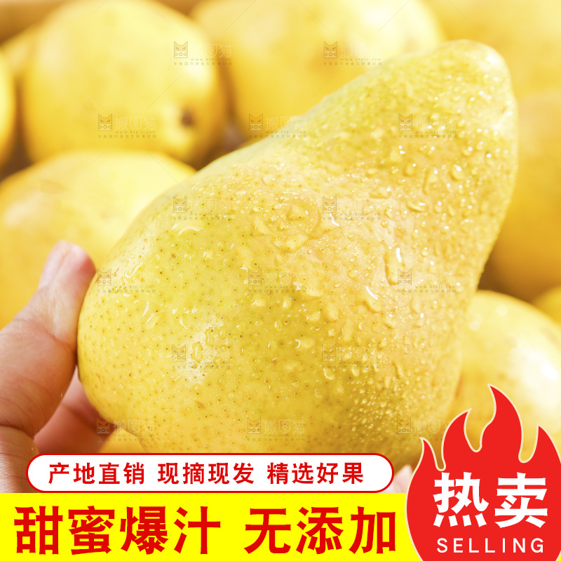 手里拿着太婆梨