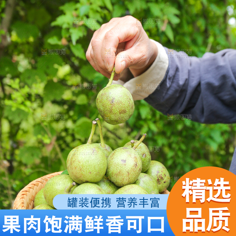 农民手里拿着一篮核桃