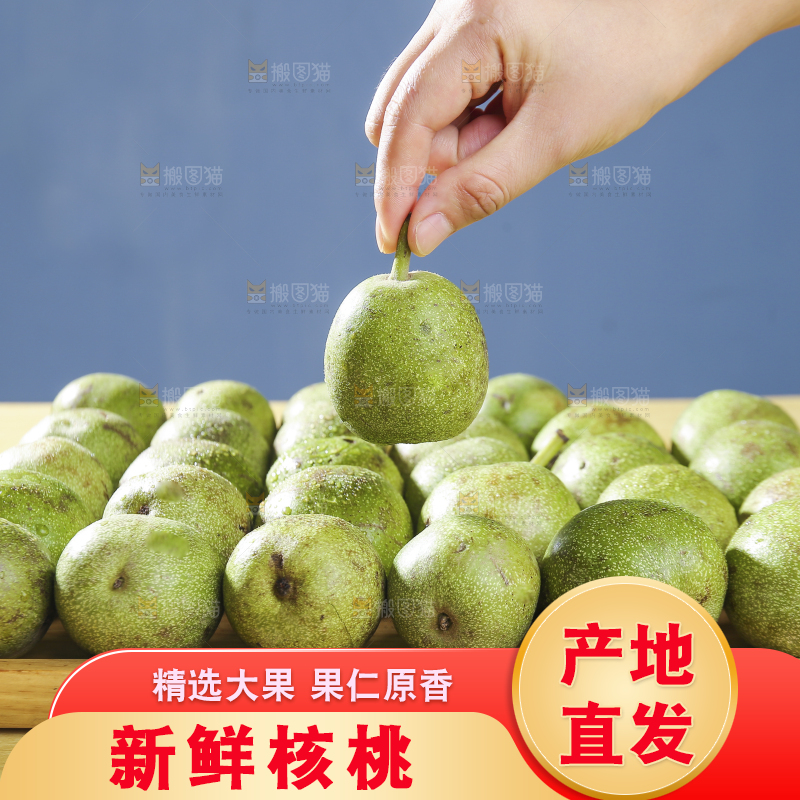 手里拿着新鲜核桃