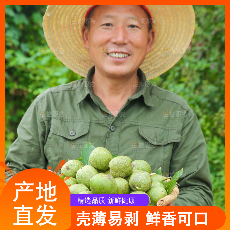 农民手里拿着一篮核桃