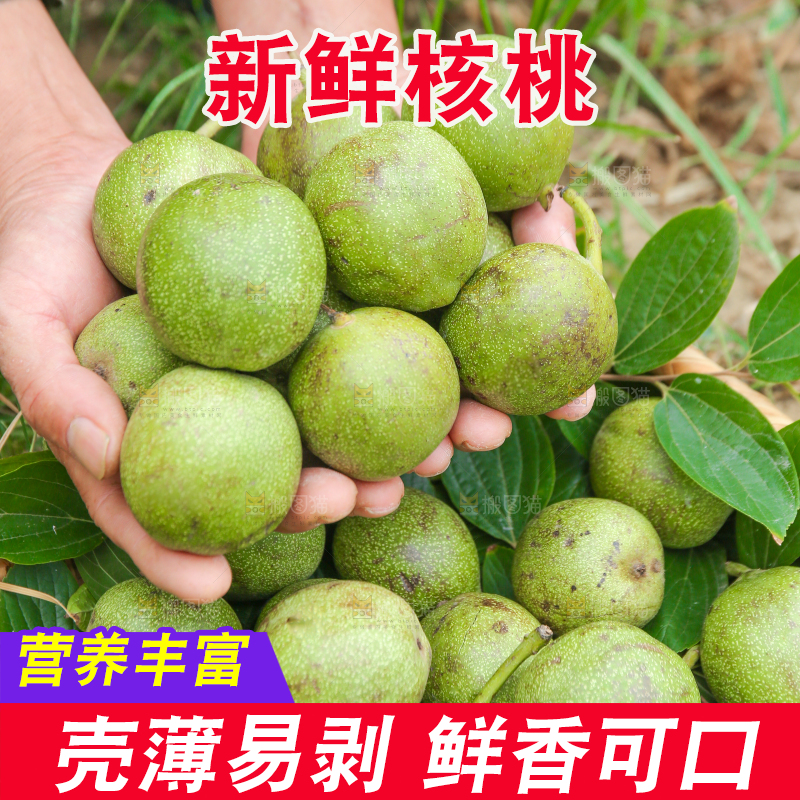 手里捧着青皮核桃