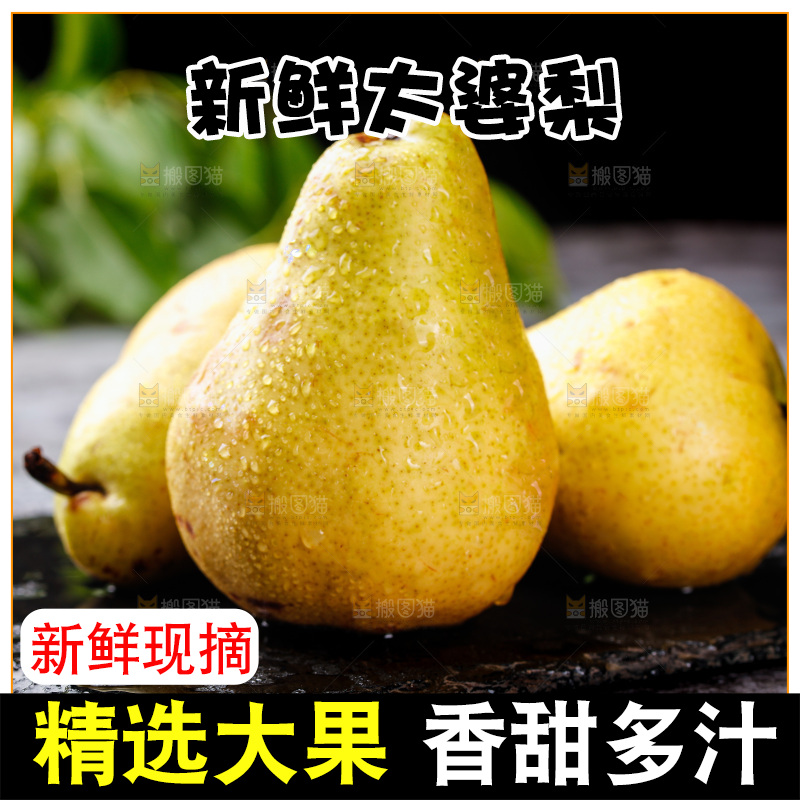 黑石板上的太婆梨
