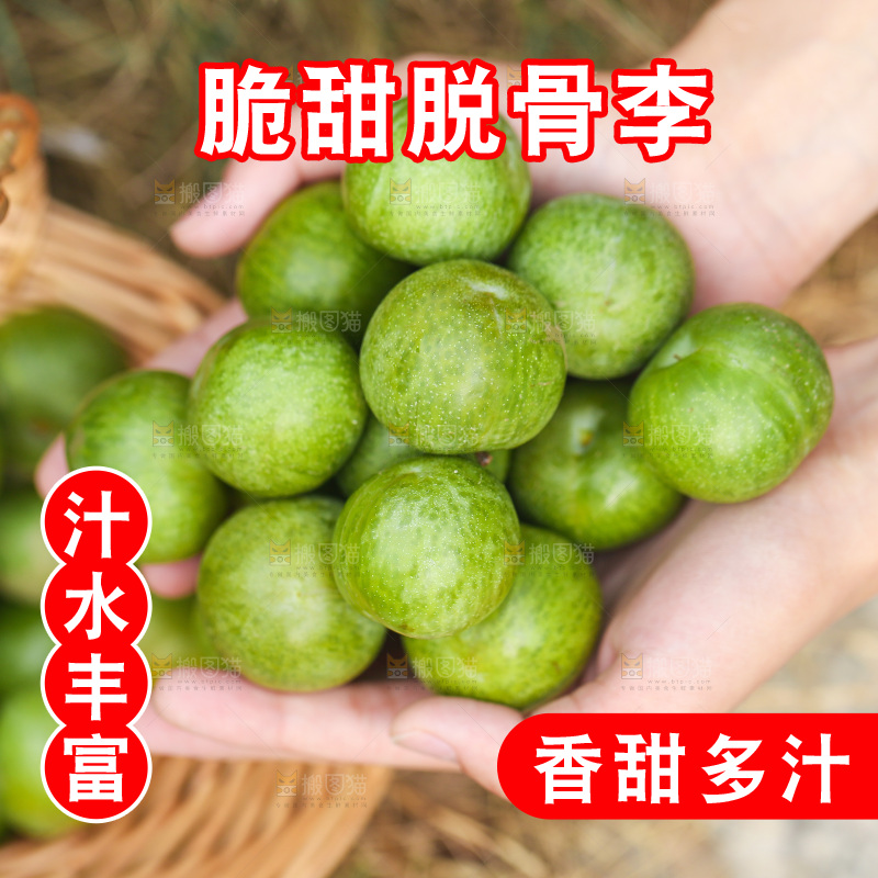 手里捧着四川脱骨李