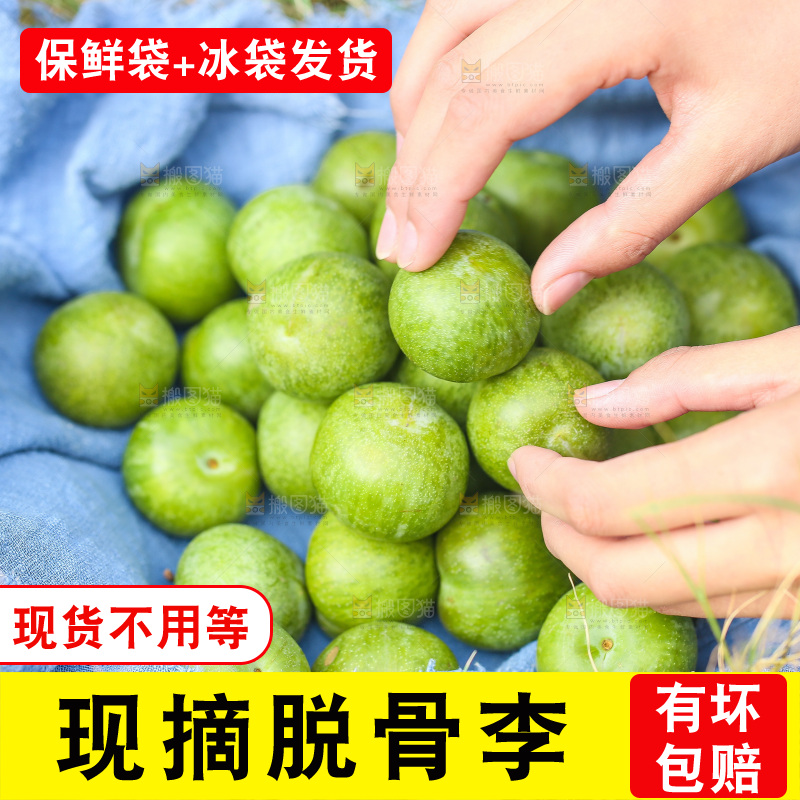 草地上堆放着四川脱骨李