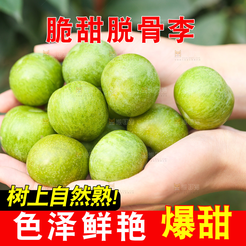 手里捧着脱骨李