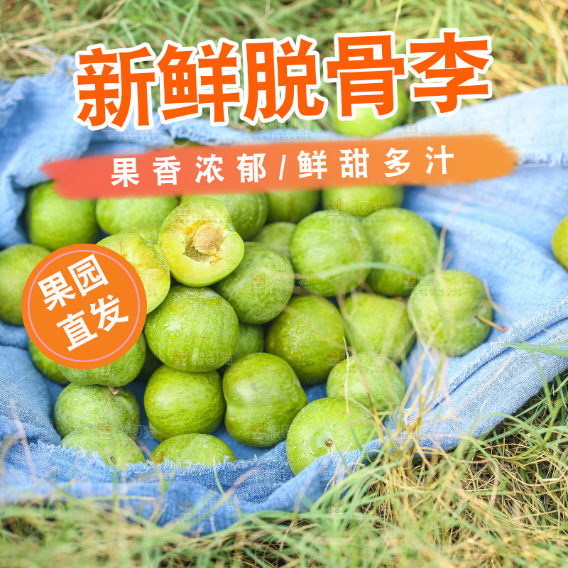 草地上堆放着四川脱骨李