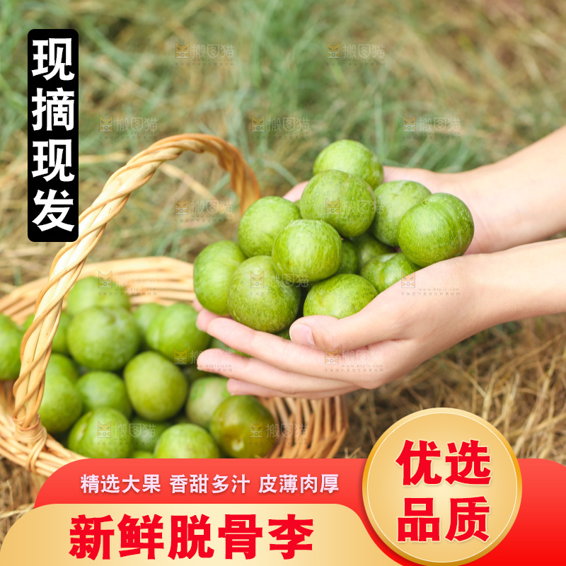 手里捧着四川脱骨李