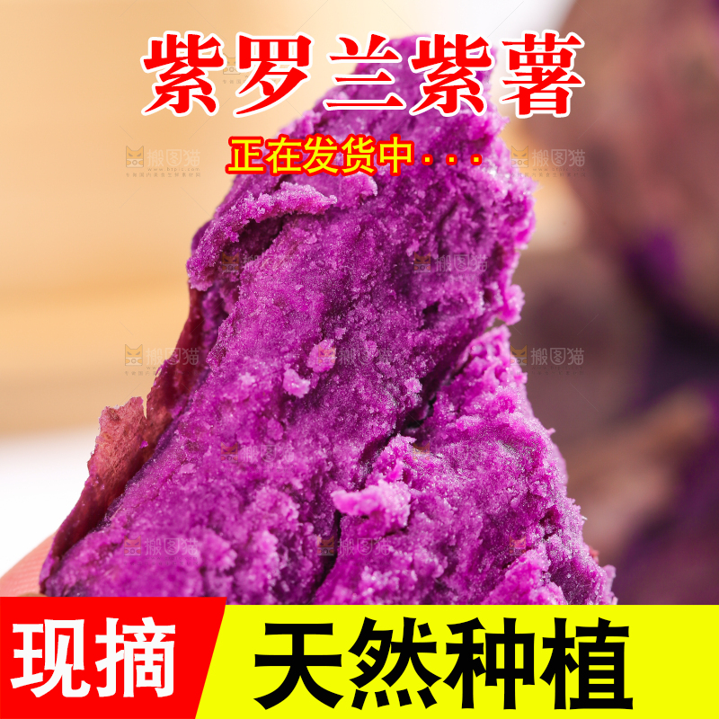 手里拿着紫罗兰大紫薯