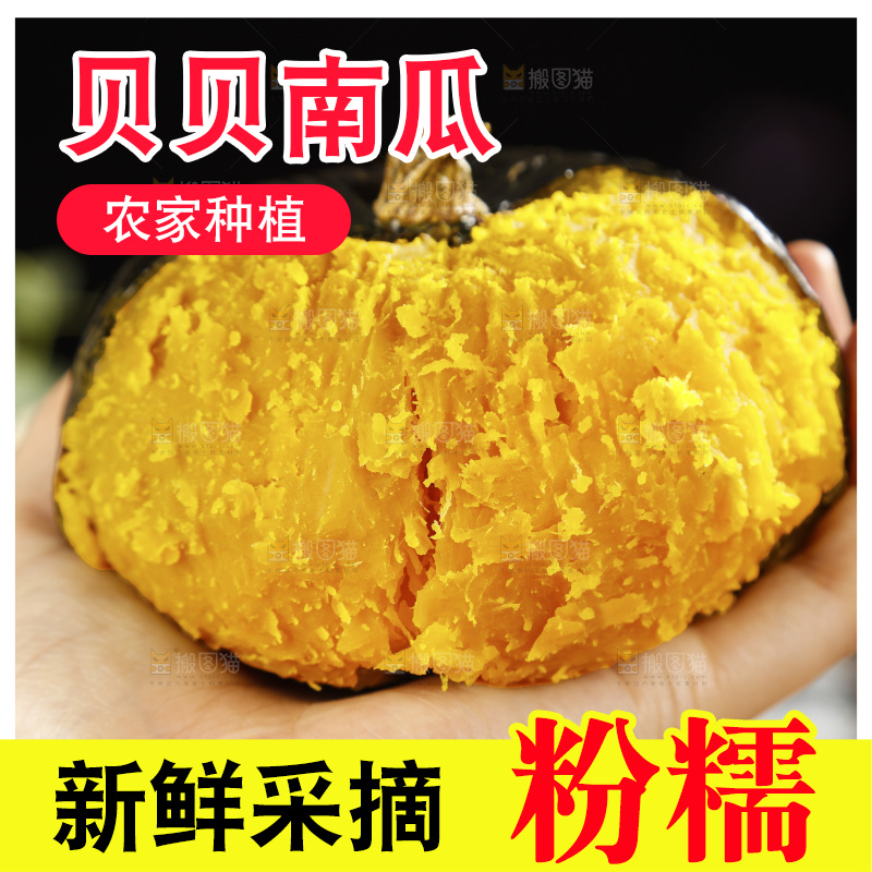 手上放着的板栗南瓜