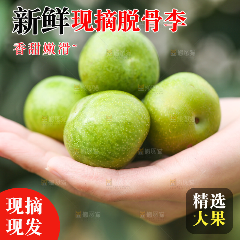 手上放着新鲜脱骨李