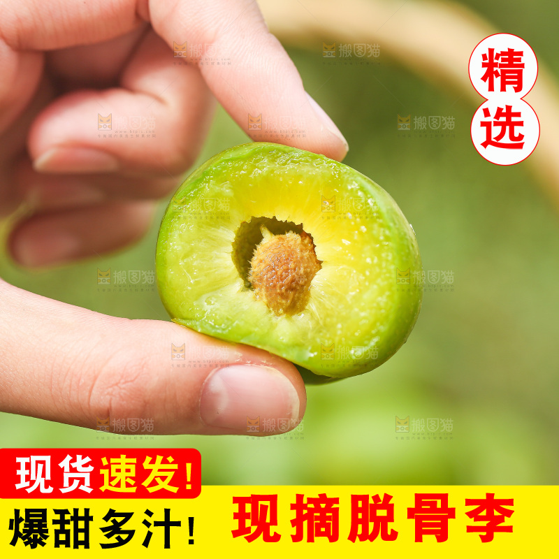 手里拿着青脆李