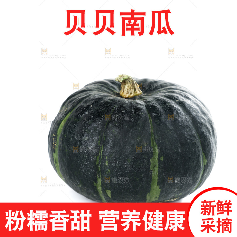 白底上放着的板栗南瓜
