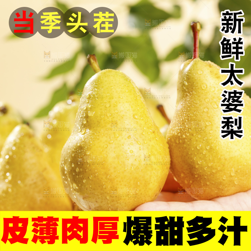手里放着烟台太婆梨