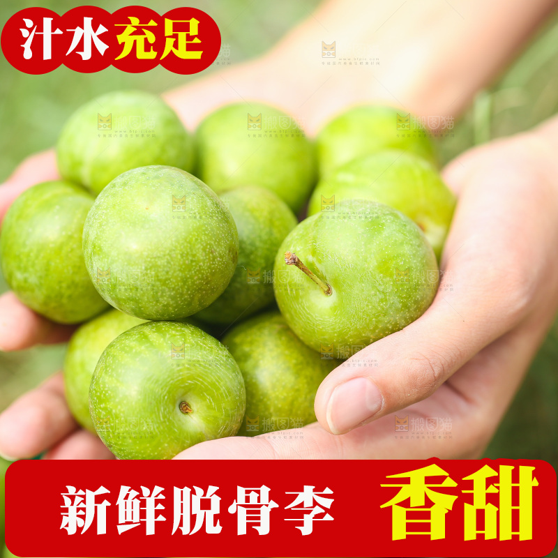 手里捧着脱骨李
