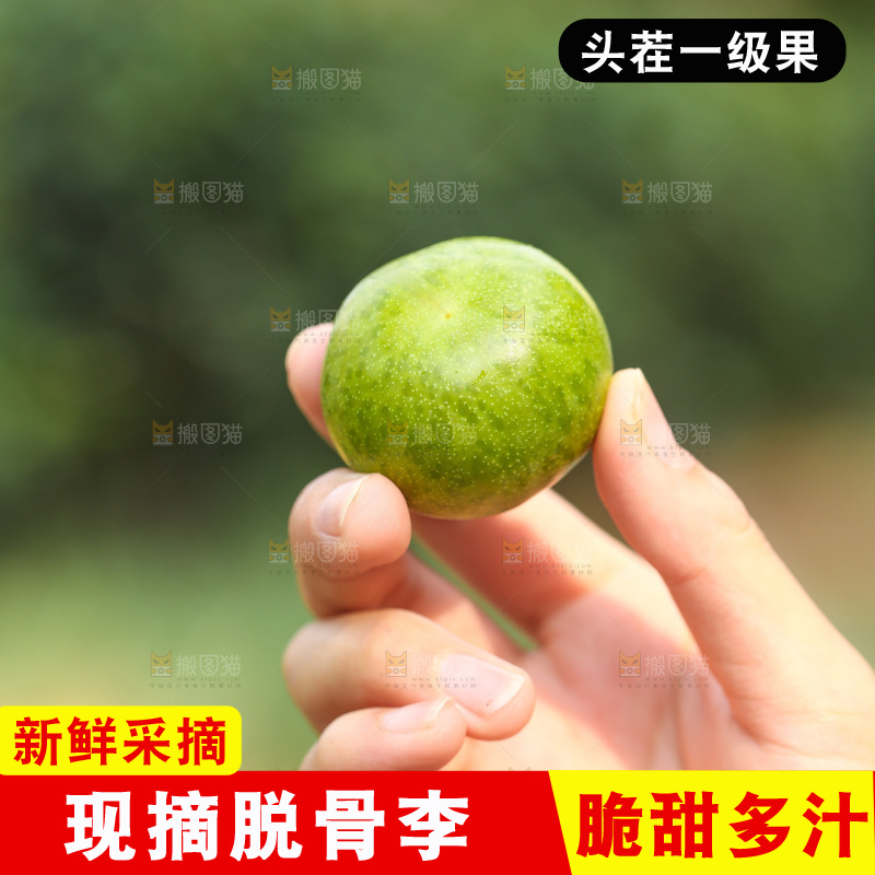手里拿着脱骨李