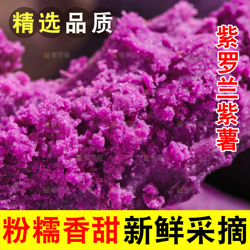山东大紫薯肉纹理