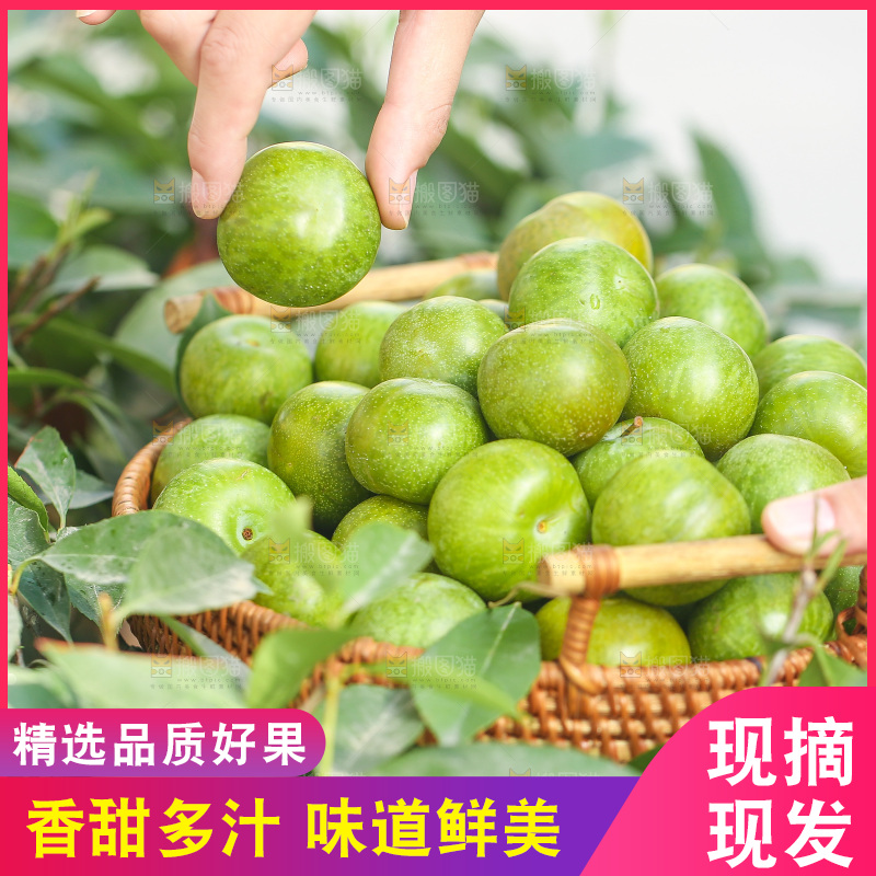 手里拿着新鲜脱骨李