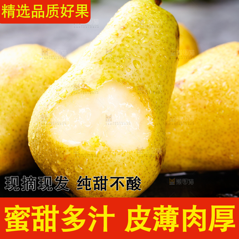 黑石板上的太婆梨