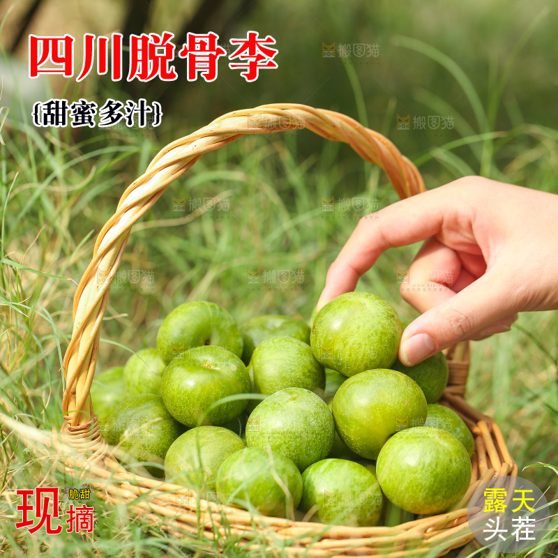 草地上放着一篮脱骨李