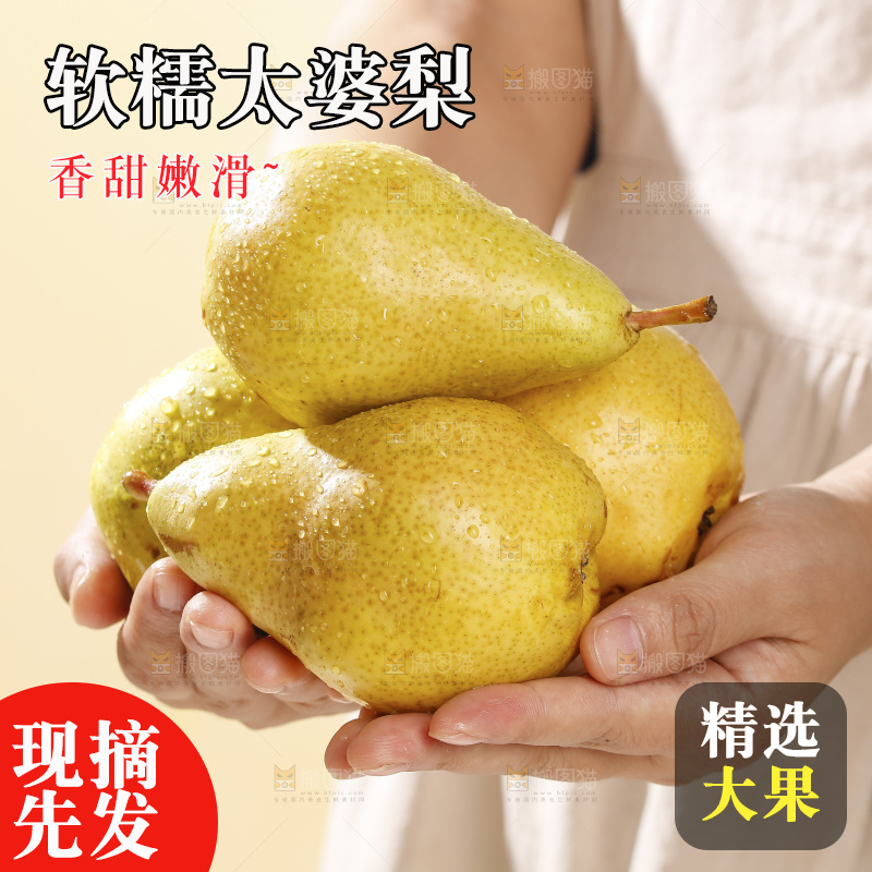 手里捧着太婆梨