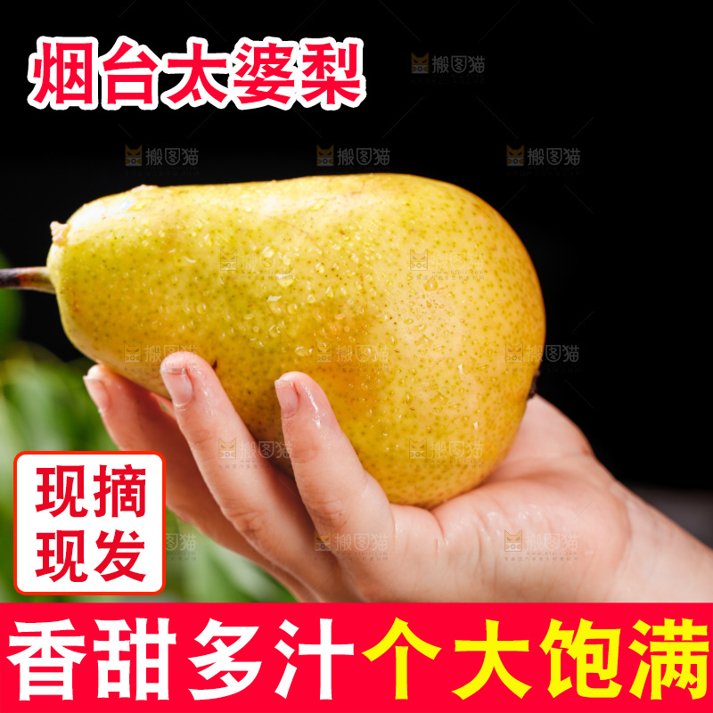 手里拿着烟台太婆梨