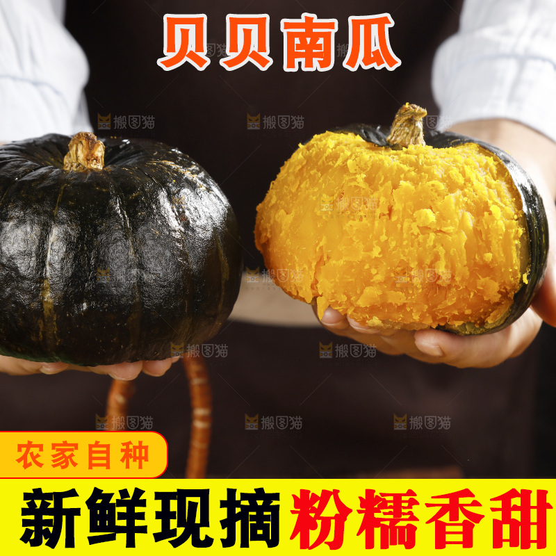 手里拿着的板栗南瓜
