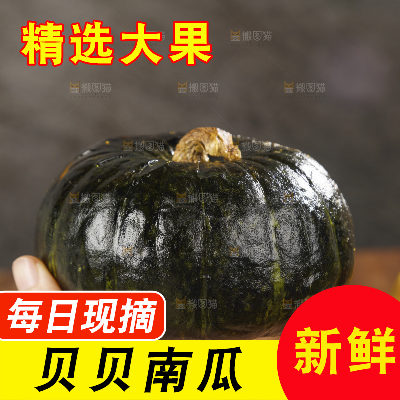 手里拿着的板栗南瓜