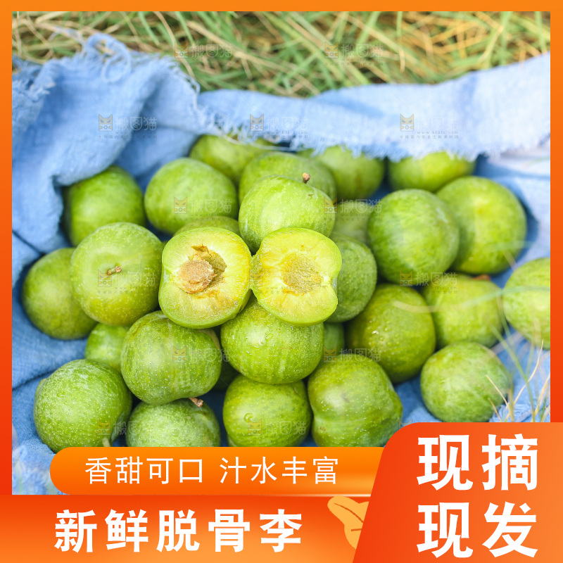 草地上堆放着四川脱骨李