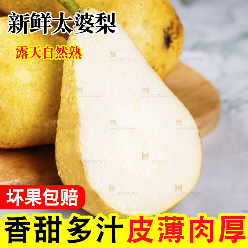 浅底上的太婆梨