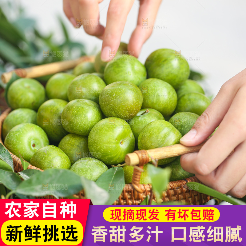 手里提着一篮青脆李