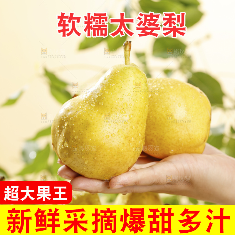 手里放着烟台太婆梨